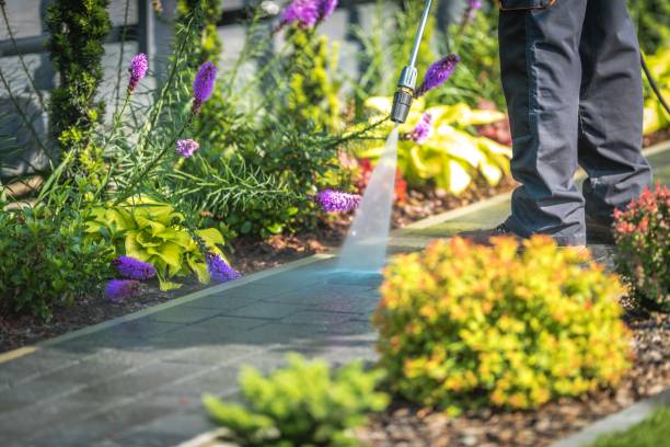Best Pool Deck Cleaning  in Gardner, IL