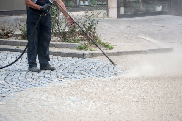 Best Sidewalk and Walkway Cleaning  in Gardner, IL